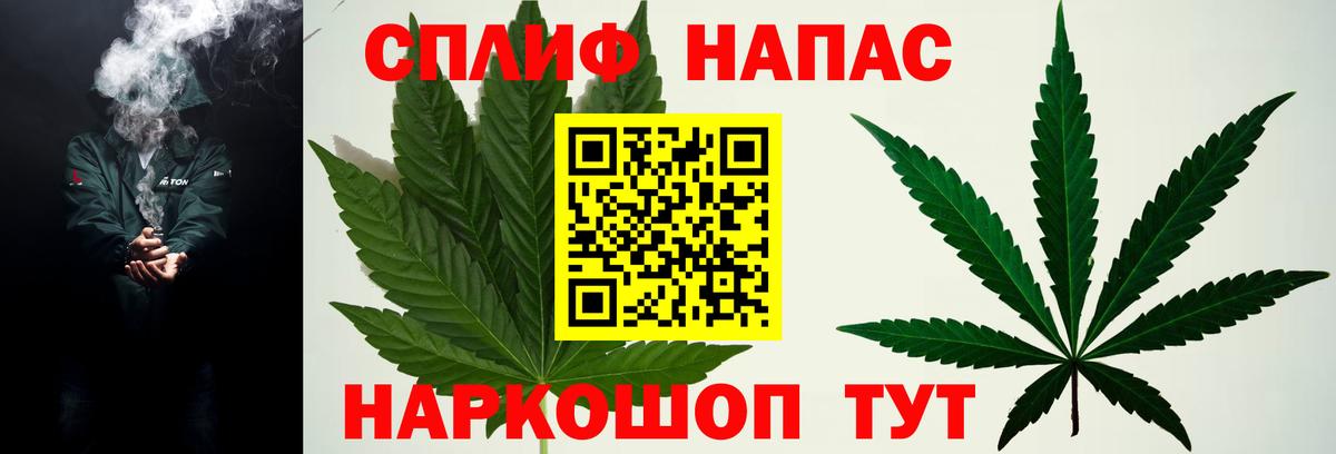 A PVP Донецк